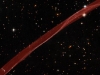 Restos de la supernova SN 1006