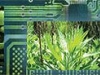 E-BIODIVERSIDAD