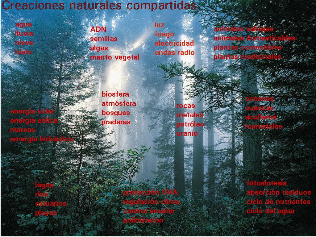 El procomún: esquema de conjunto El procomún: esquema de conjunto