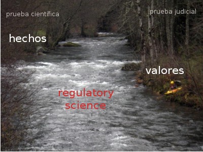 La_ciencia_regulatoria_en_la_corriente_entre_los_hechos_científicos_y_los_hechos_legales