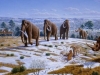 bosques-abiertos-durante-la-edad-de-hielo-fuente-diario-del-plnaneta-tierra