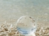 ecosystem-project-ideas-fuente-zearticles