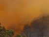 o_wild_fire