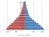 piramide-demografica-en-guatemala-fuente-camara-de-industria-de-guatemala