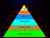 piramide-trofica-fuente-borrones-punto-net