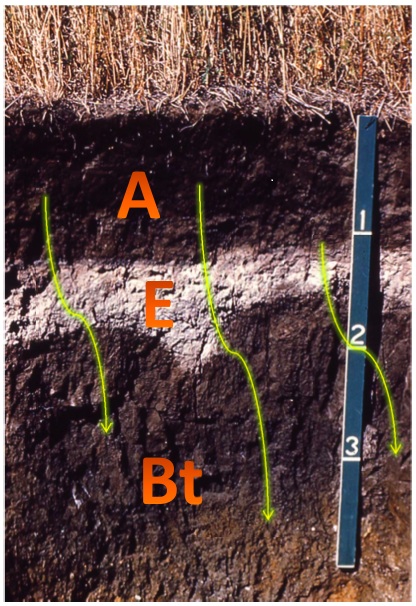 materia-organica-del-suelo-fuente-connexions
