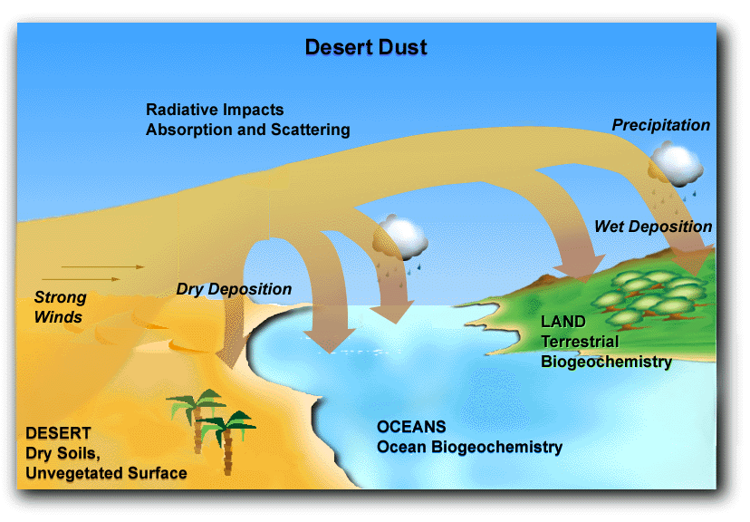 desert-dust-universidad-de-cornell