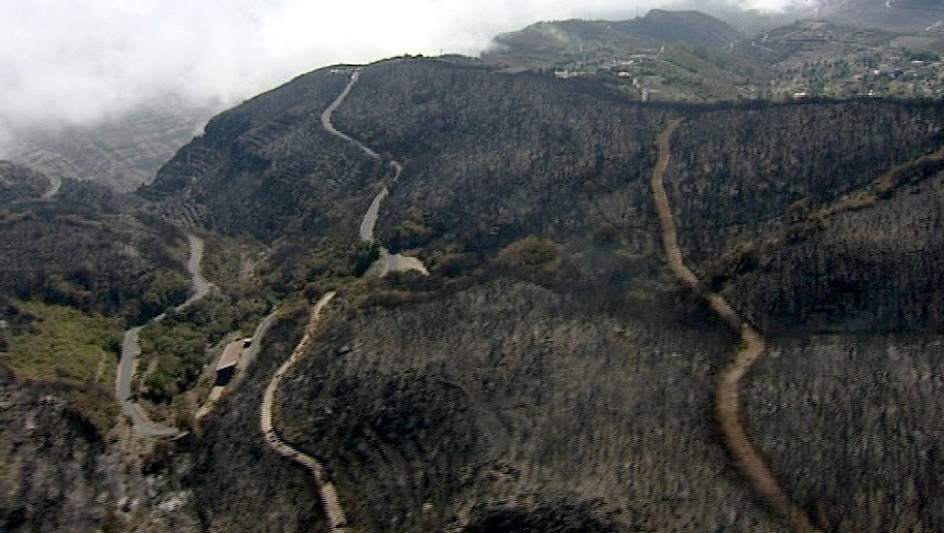 Bosque quemado del Parque Nacional de Garajonay. Fuente:20minutos.com