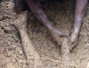 Fotos de Erosion, Desertificación y Pérdida de Suelos Por Sellado