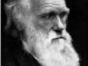 o_t_Darwin