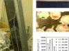 experimentando-con-la-rizosfera-fuente-wsl
