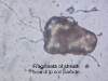 o_FIG13soilparticle