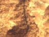 o_MS4b_burrow_LR_small