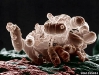 o_nitrosomonas