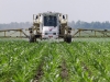 Food and Farm Superweeds
