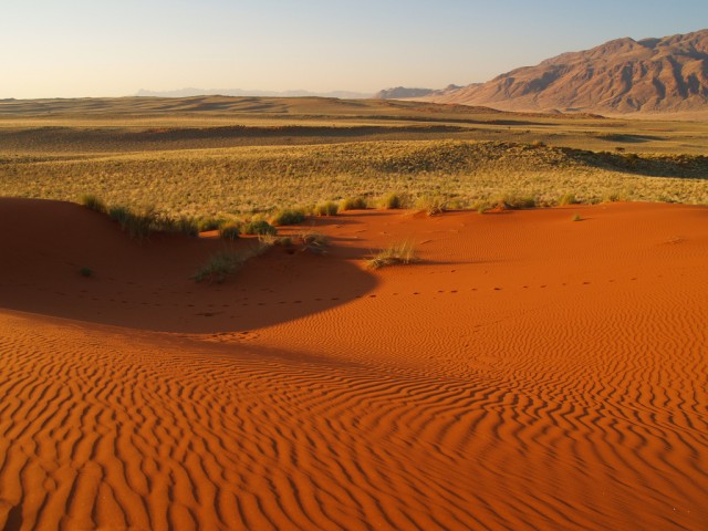 arenosoles-y-dunas-en-el-desierto-de-kalahari