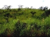 Los Suelos en el Paisaje y los Paisajes de Suelos