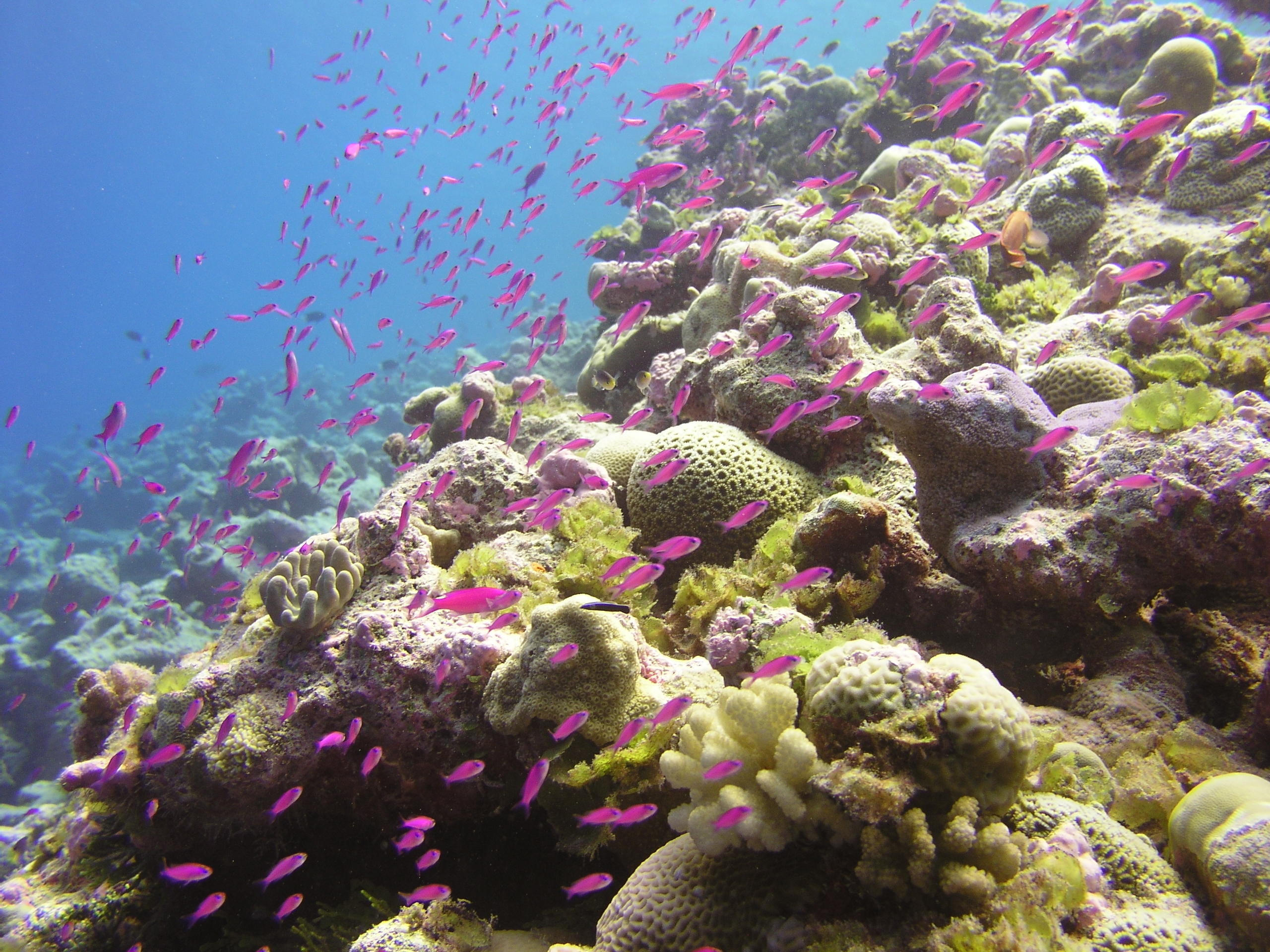 paisajes oceanicos