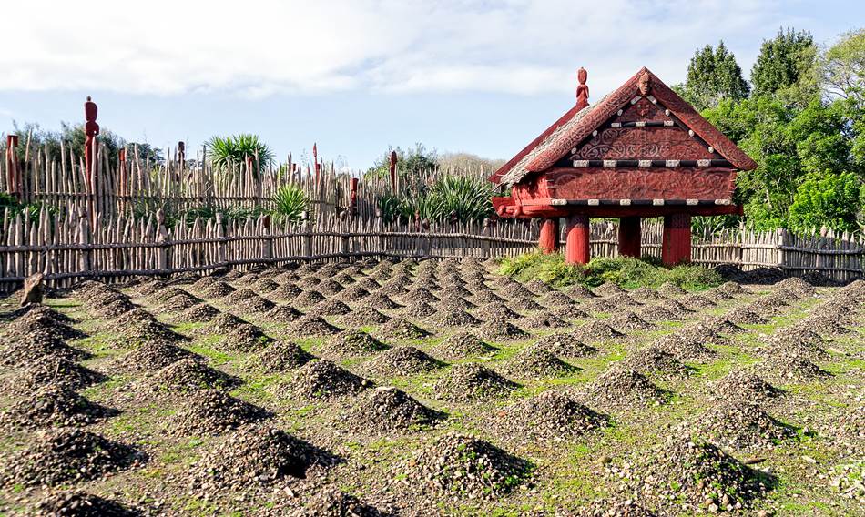 recreacion-de-los-jardines-maories-fuente-chris-gregory-alphathreads