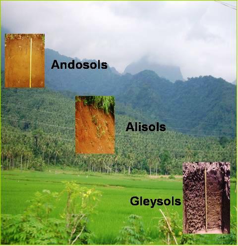 alisol-catena-fuente-blog-soils-and-environmant