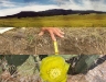 czen-crtical-zone-exploration-network