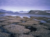 o_permafrost