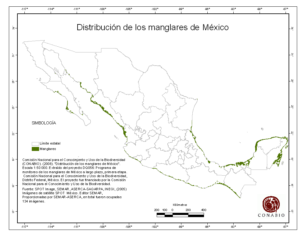 Mapa de Distribución de los Manglares en México. Fuente: CONABIO