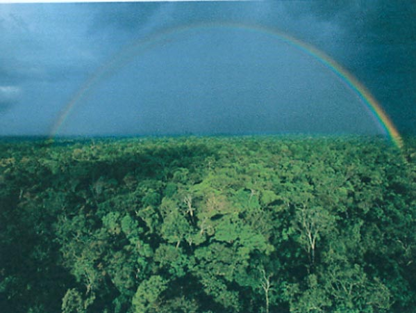  Los Lugares Naturales Mas Asombrosos