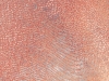 Campo de Dunas de arabia-saudi  Rub’ al Khali. Fuente: NASA Wired Science