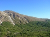  Límite de la vegetación arbórea del bosque de Nothofagus, en los Andes, Volcán Chillán, Chile, Bio bio. Foto: Juan José Ibáñez                              
