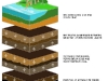 coal-formation-en-el-paleozoci