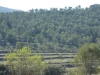 ibi-alcoy-17