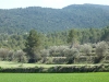 mariola-sierra-juanjo