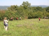 o_Bosque-Estepa