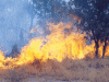 o_Intense-header-fire