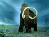 o_Wooly_Mammut
