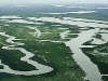o_amazonas2