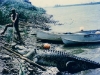 o_crocodile-mick-12