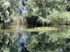 o_danube-delta-3