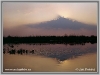 o_danube-delta1