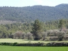 onil-alcoy-3
