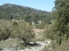onil-alcoy-6