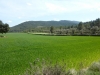 onil-alcoy
