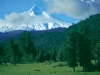 paisajes-heterogeneos-2-ruta-de-los-volcanes-en-chile-fuente-chile-information-on-tourism-and-culture-puntiagudo