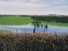 pradera-pampeana-fuente-secretarioa-de-ambiente-y-desarrollo-sustentable-de-la-nacion-govierno-de-argentina