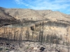 serranos-fuego-2