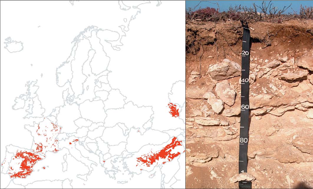 calcisol-europa-foto-y-mapa-esb