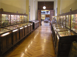 Acceso al Museo Geominero