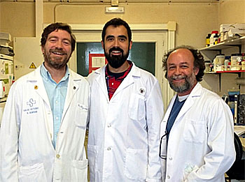 El grupo de la UCM que ha participado en el estudio, de izquierda a derecha: Jos R. Regueiro, Miguel Muoz Ruiz y Edgar Fernndez Malav. / E.F.M.
