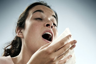 En primavera, los estornudos son ms frecuentes por el polen en el aire. / Tina Franklin